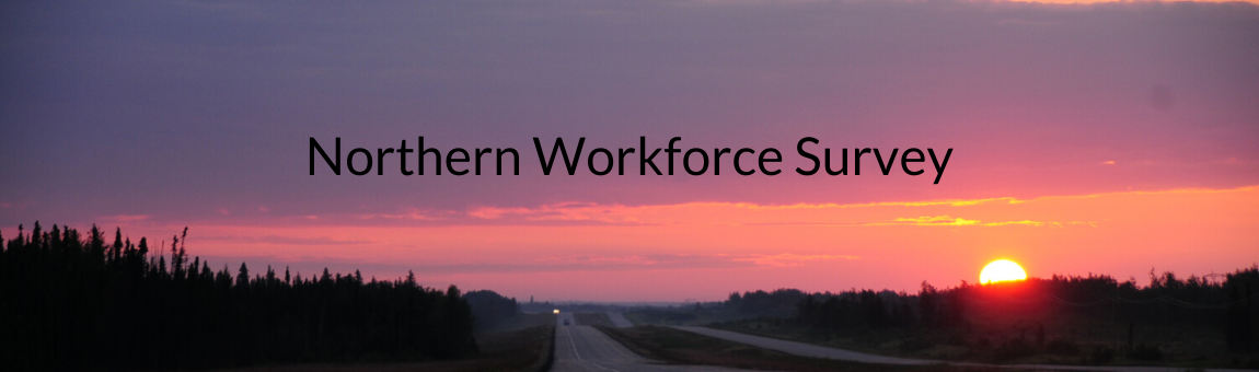 2020 Northern Workforce Survey